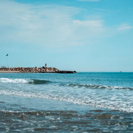 Apartment T2 Vue Mer Climatise A 40m De La Plage